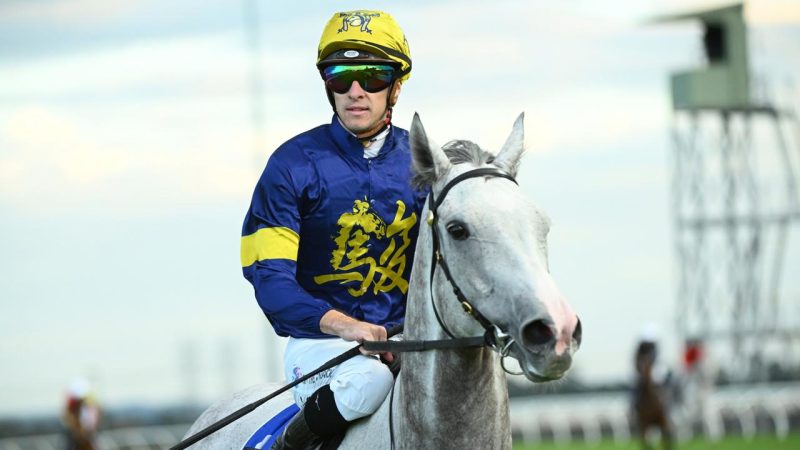 Flemington Preview: Ramsden A Golden Race Image