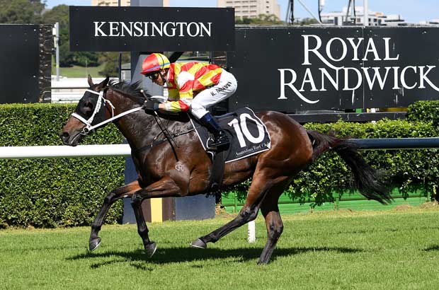 FREE: Randwick Kensington Tip Sheet & Staking Plan: Wednesday 30th October Image