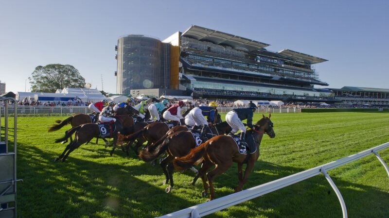 Randwick Tip Sheet & Staking Plan: Saturday 6th February Image