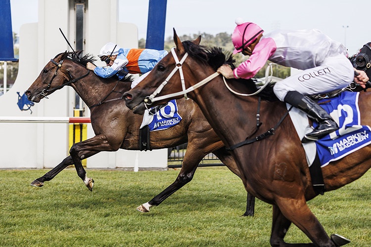 2022 The Gong Review: What The Jockeys Said Image