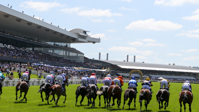 The Plunge's Saturday Review: Horses You Must Follow From Rosehill 30/1 Image