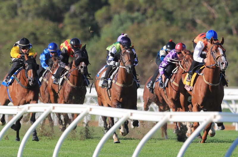 The Plunge's Trial Review: Horses Must Follow From Last Week's Trials 12/3 Image