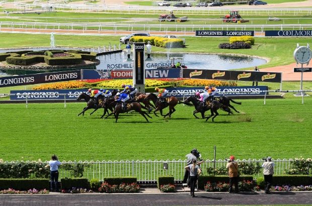 Rosehill Tip Sheet & Staking Plan: Saturday 30th October Image