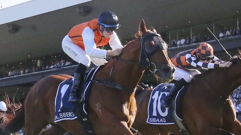 Free Entry Into Our $1,200 Rosehill & Flemington Competitions This Saturday Image