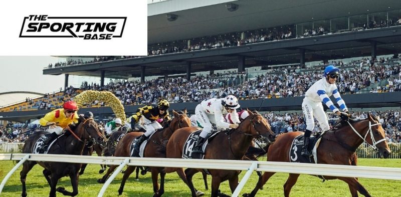 Rosehill 11/3 - Our Best Bet Image