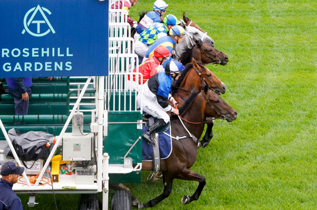 Rosehill Analysis & Insights 29/07 Image