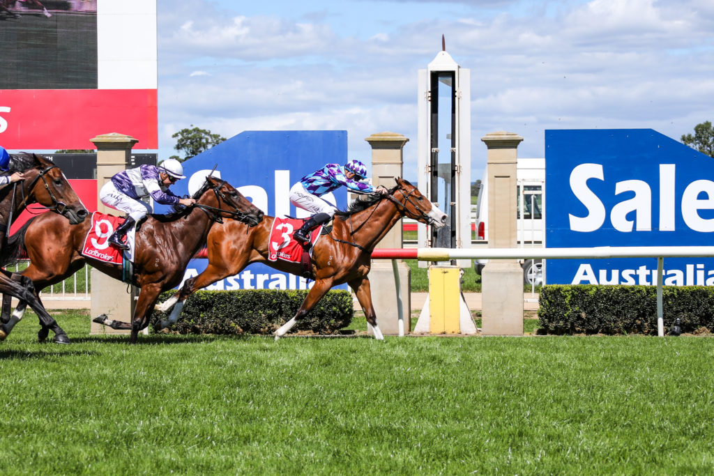 Sale Tip Sheet & Staking Plan: Wednesday 7th April Image