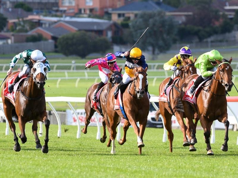 FREE: Sandown Lakeside Tip Sheet & Staking Plan: Wednesday 5th June Image
