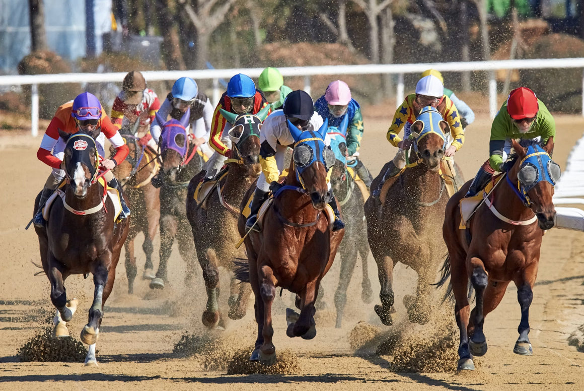 Previewing the Top Contenders and Betting Dynamics for the 2024 Preakness Stakes Image