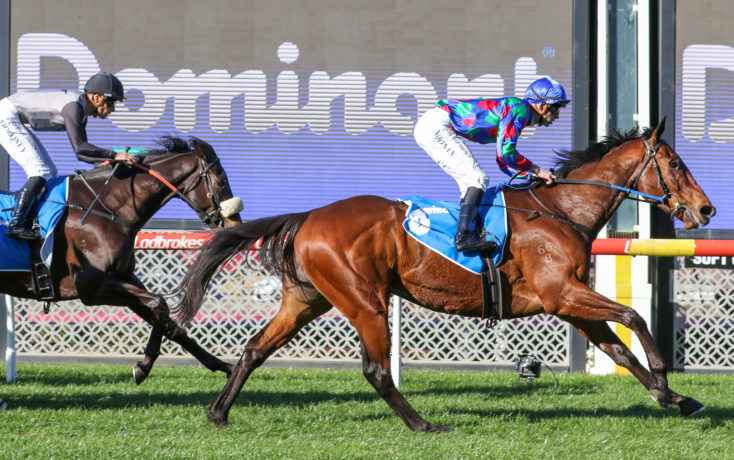 Moonee Valley Review: Rae Has Found A Stayer For The Future Image