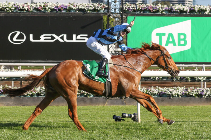Flemington Review: Smokin' New Caulfield Cup Favourite Image