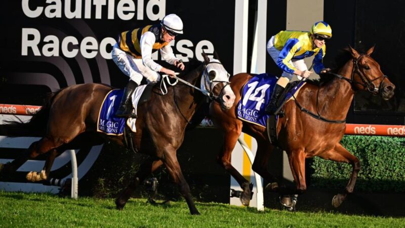 Caulfield Review: No Snap Decisions For Maher Image