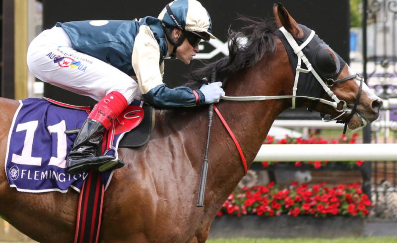 Flemington Review: Soulcombe Impresses For 2023 Melbourne Cup Image