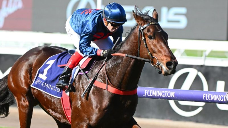 STEPARTY STEPS OUT AND WINS AGAIN Image