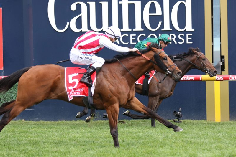 FREE: Caulfield Tip Sheet & Staking Plan: Saturday 18th November Image