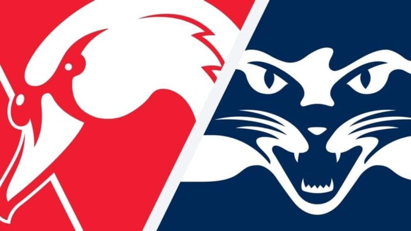 AFL Grand Final Preview: Sydney v Geelong Image