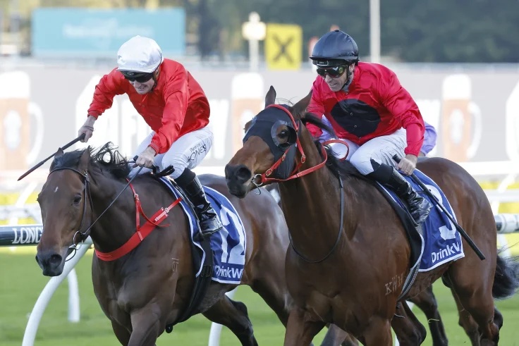 PRIDE'S WINNING FORMULA Image