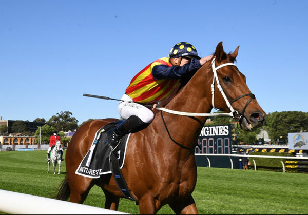 Randwick: Everest Best Selection 19/10 Image