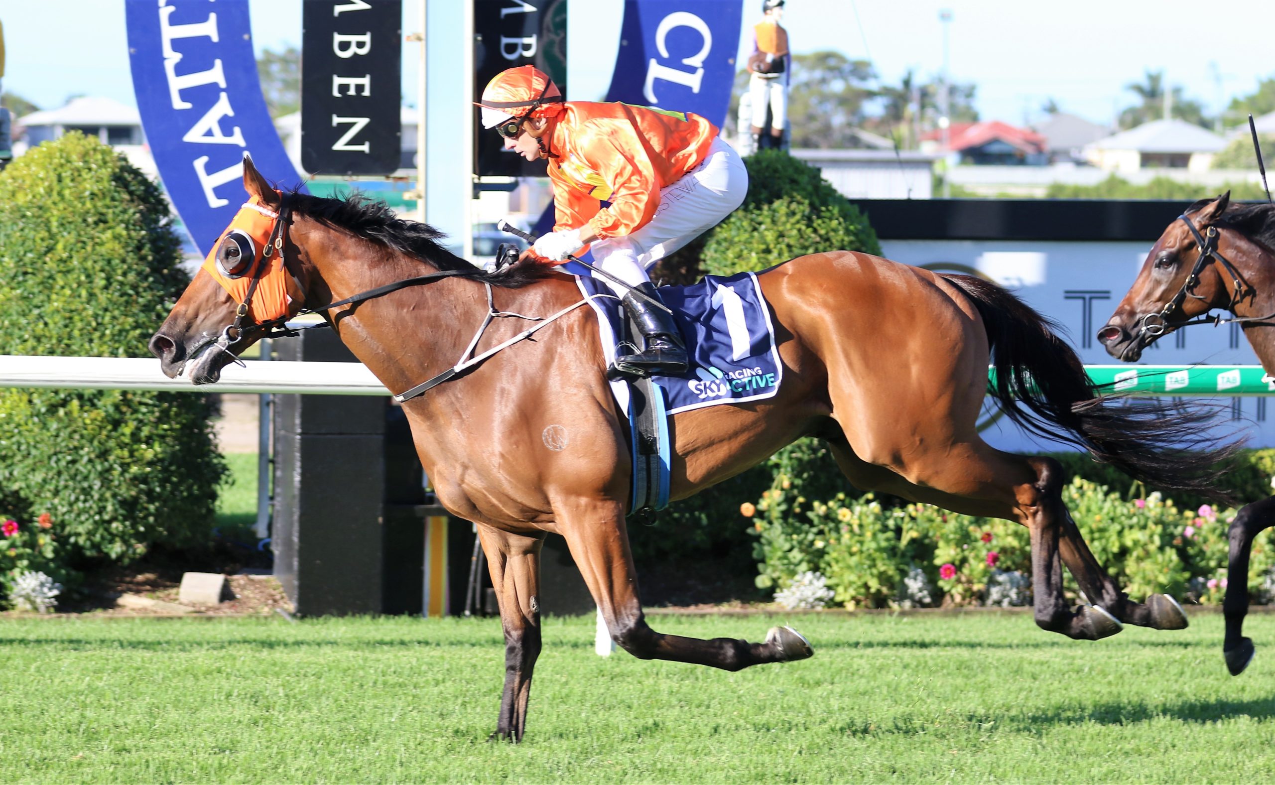 The Harrovian ready to do battle in a quest for 12 Image