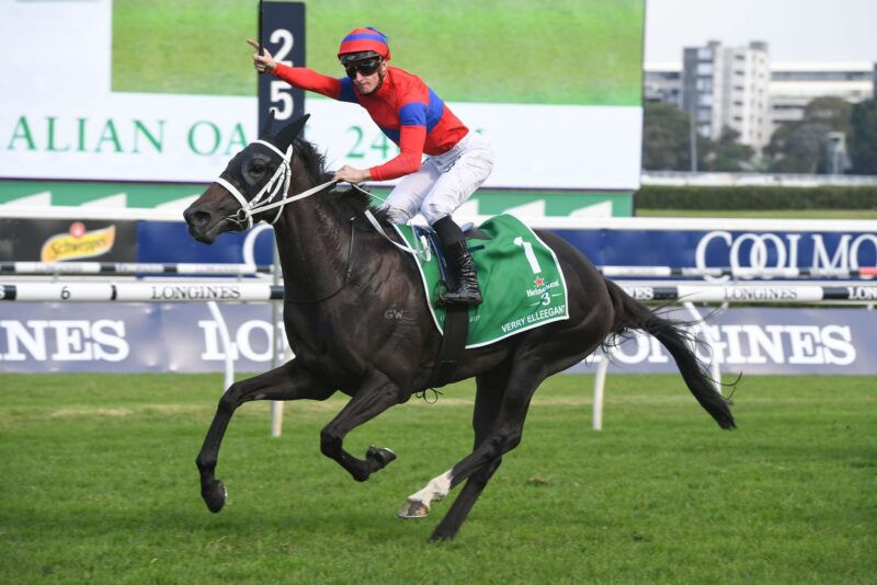 FREE: Essential Punters Package: Our Selections For Saturday 3/7 Image