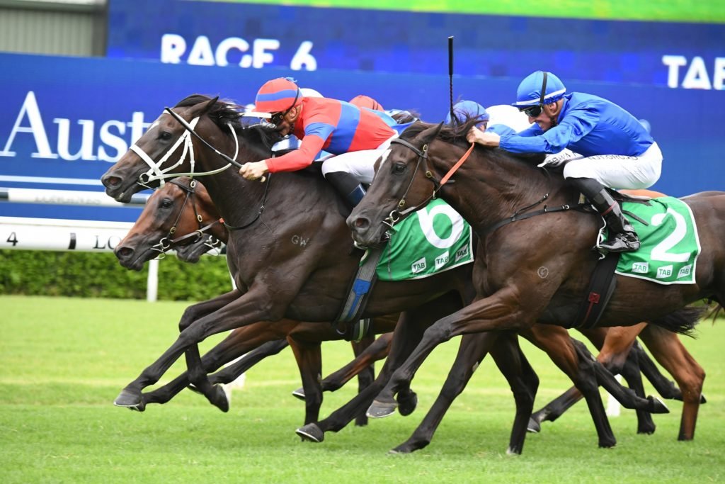 The Racing Weekend In Review 28/2 Image