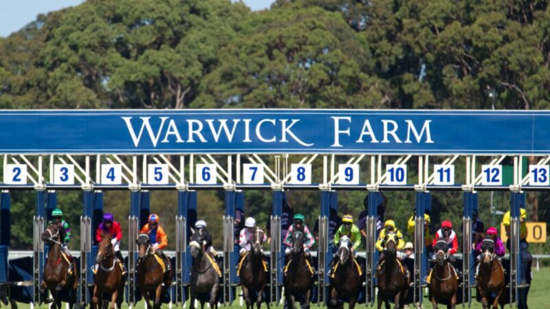 Warwick Farm Analysis & Insights 27/07 Image