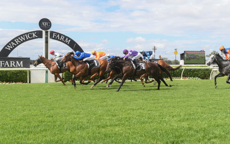 FREE: Warwick Farm Tip Sheet & Staking Plan: Wednesday 23rd November Image