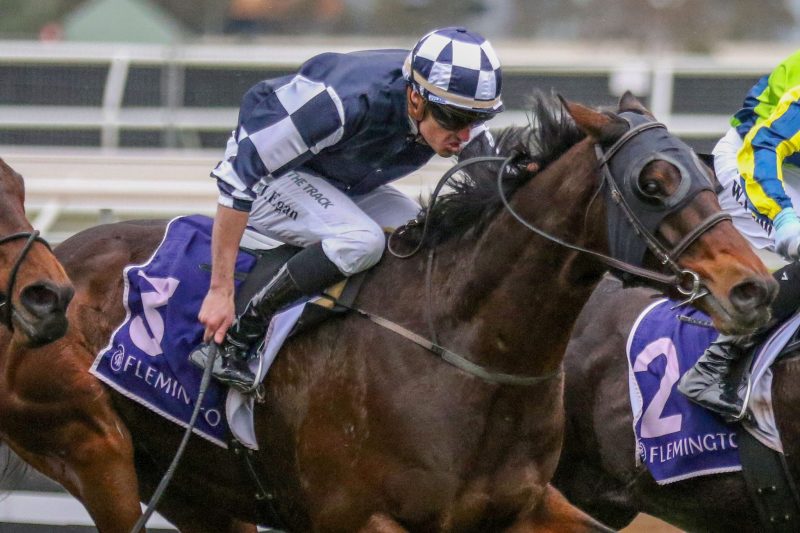 Flemington Review: Young Werther Breaks Through Image