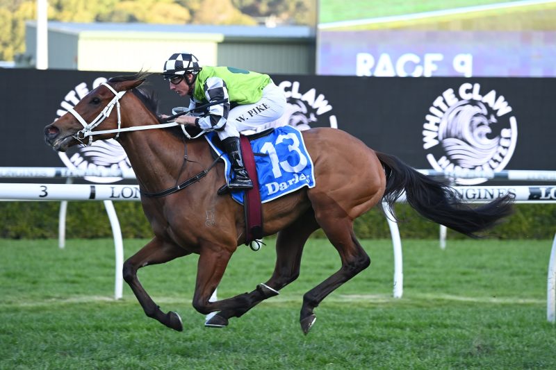 FREE: Rosehill Tip Sheet & Staking Plan: Saturday 23rd March Image