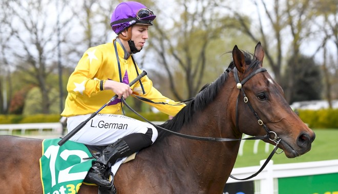 Rosehill Preview: Zoumon To Zoom Away At Rosehill Image