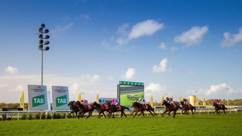 FREE: Gold Coast Tip Sheet and Staking Plan Saturday 25/9 - QLD Service Image
