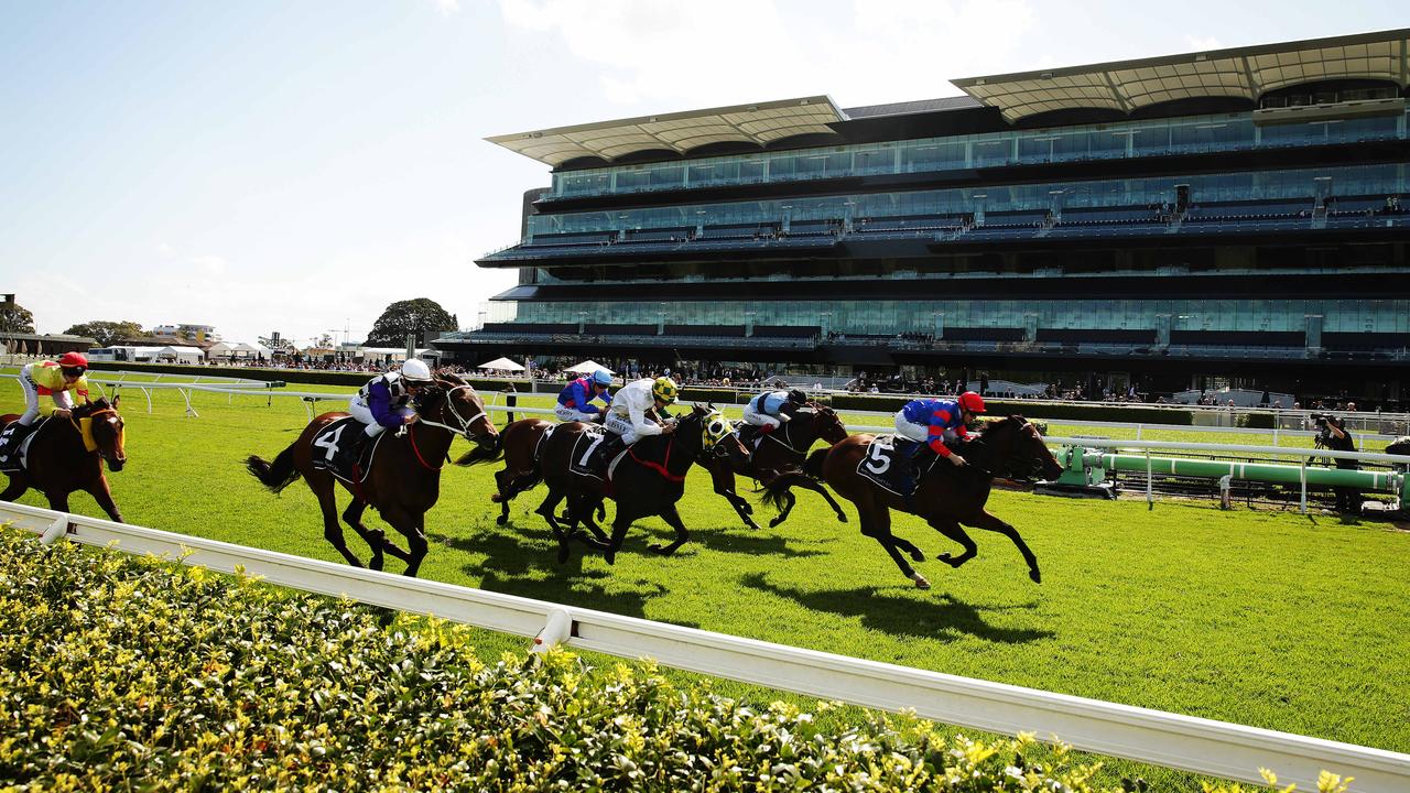 Randwick Tip Sheet & Staking Plan: Saturday 7th August Image