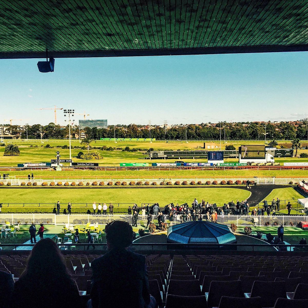 FREE: Canterbury Thursday 2nd July - Our Picks Image