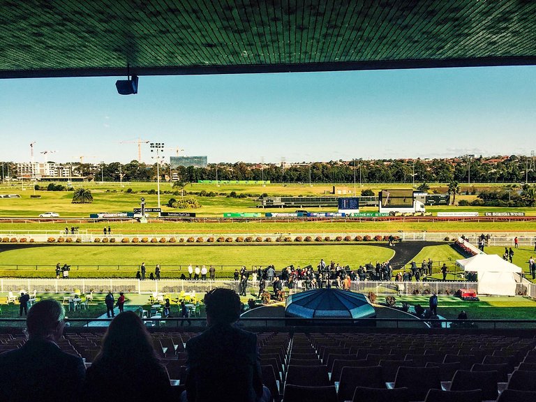 FREE:  Canterbury Tip Sheet & Staking Plan: Wednesday 25th May Image