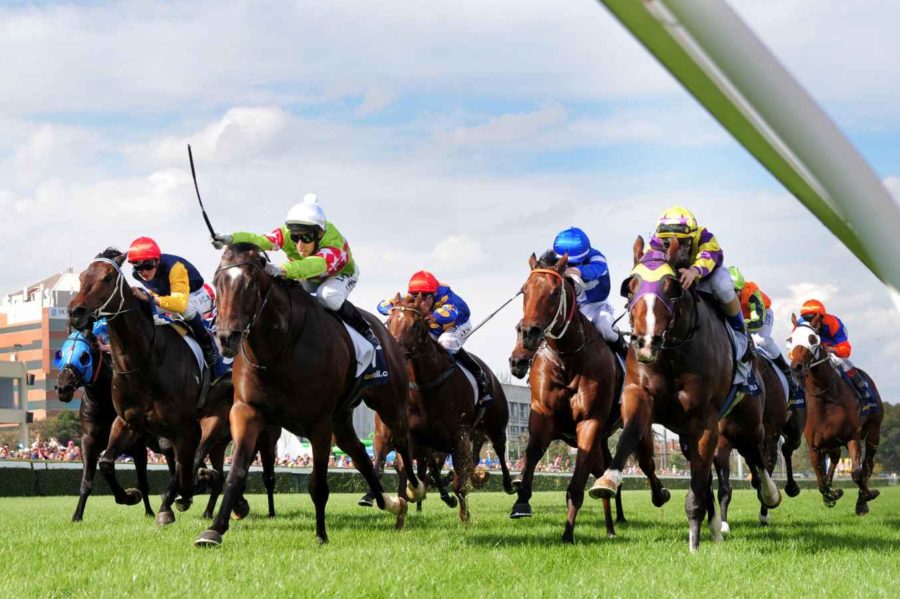 Our Black Book: Horses You Must Follow From Caulfield 3/2 Image