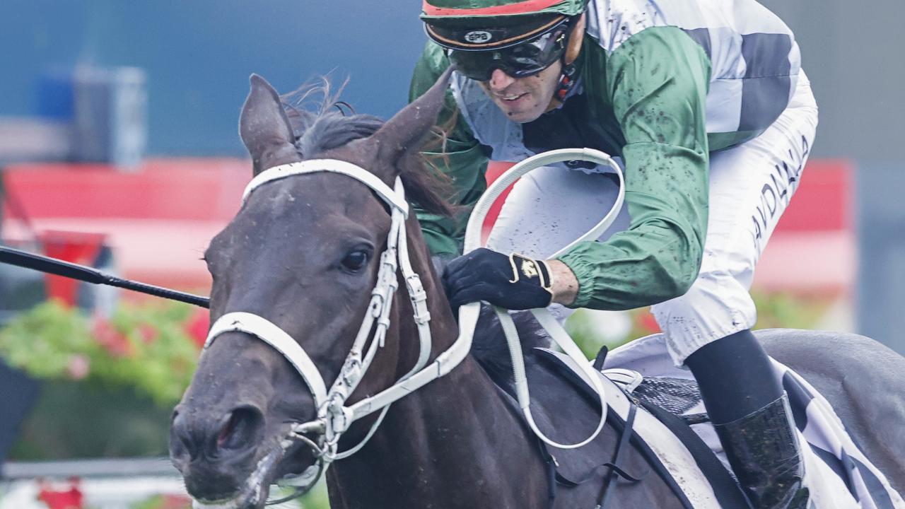 FREE: Rosehill Tip Sheet & Staking Plan: Saturday 11th March Image