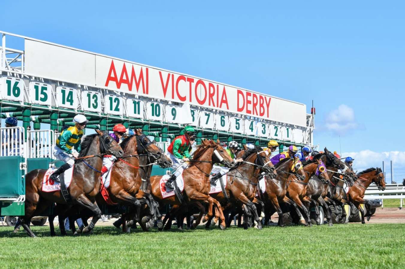 FREE: Flemington Tip Sheet & Staking Plan: Saturday 29th October Image