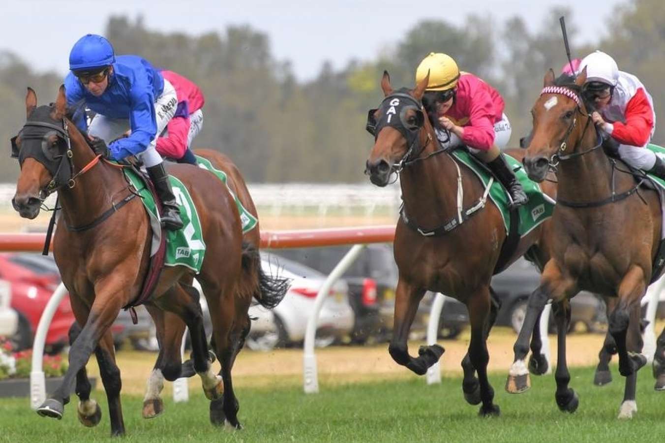 Warwick Farm Tip Sheet & Staking Plan: Wednesday 9th December Image