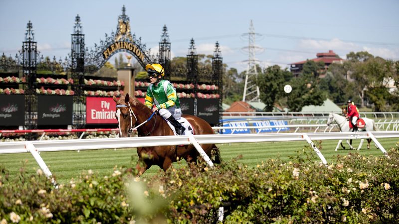FREE: Flemington Tip Sheet & Staking Plan: Saturday 16th September Image