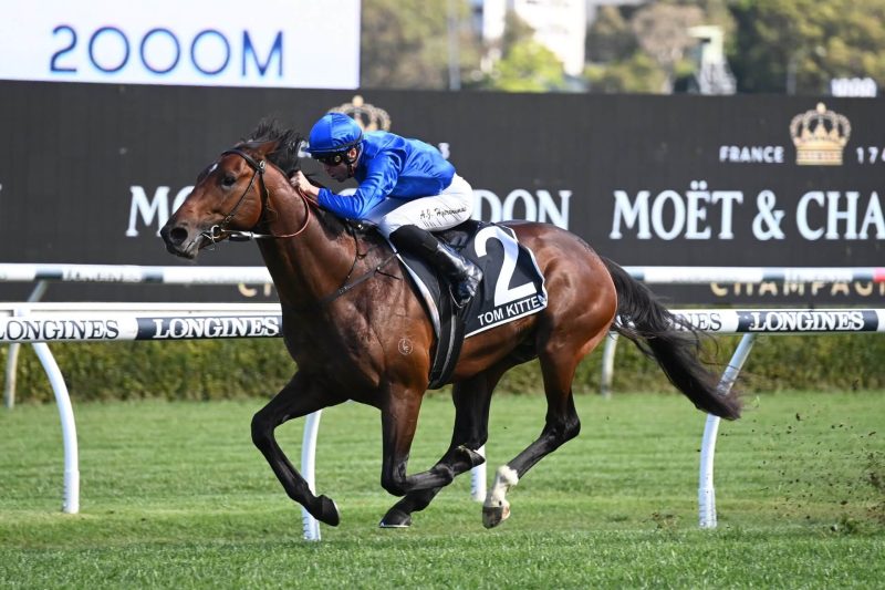 TOM KITTEN TOYS WITH RIVALS Image