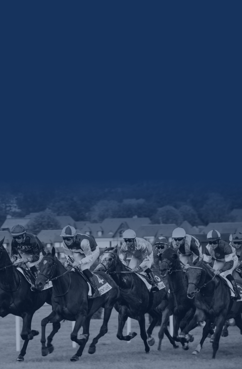 Newsletter Background