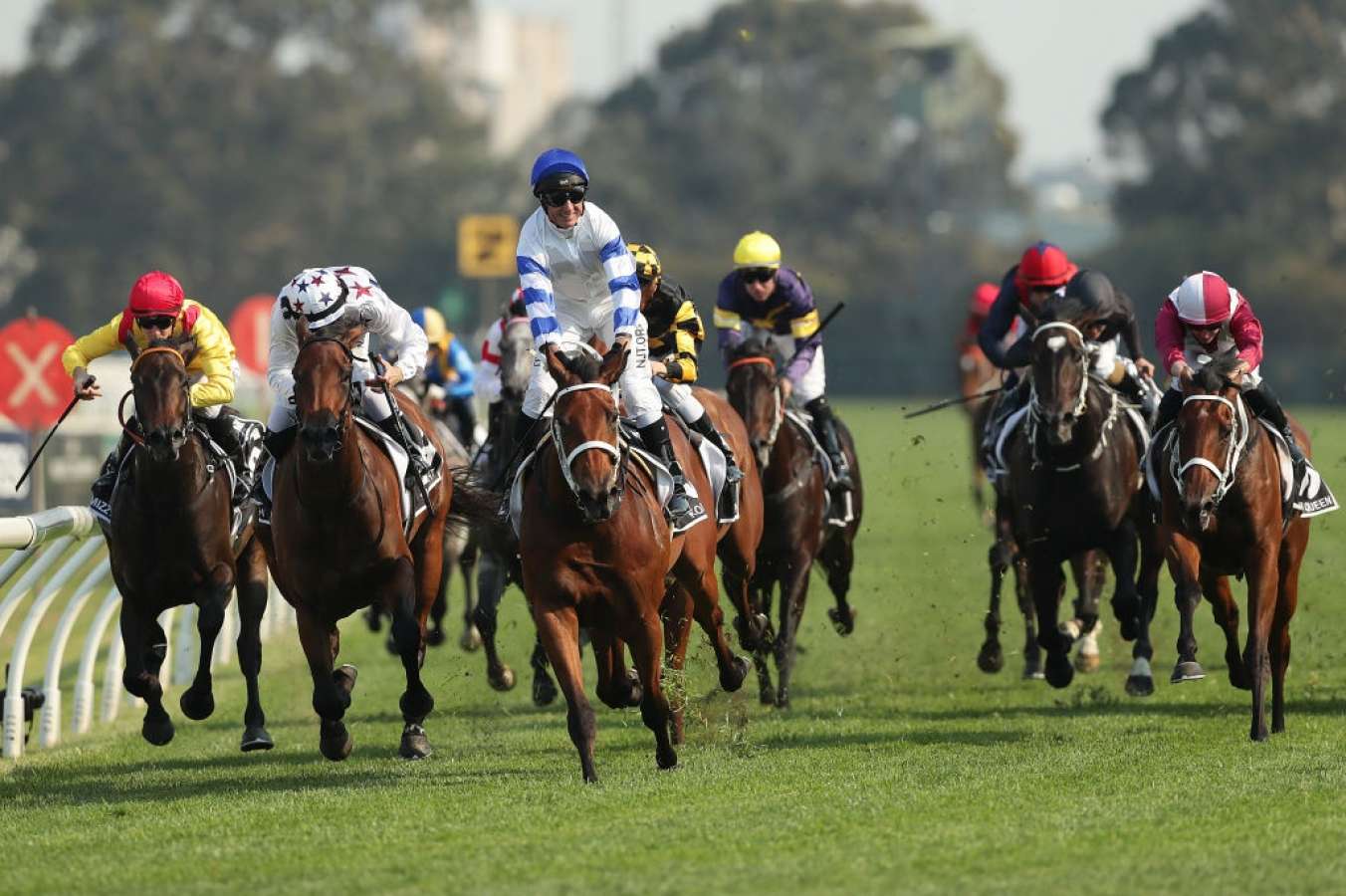 FREE: Randwick Tip Sheet & Staking Plan: Saturday 8th October Image