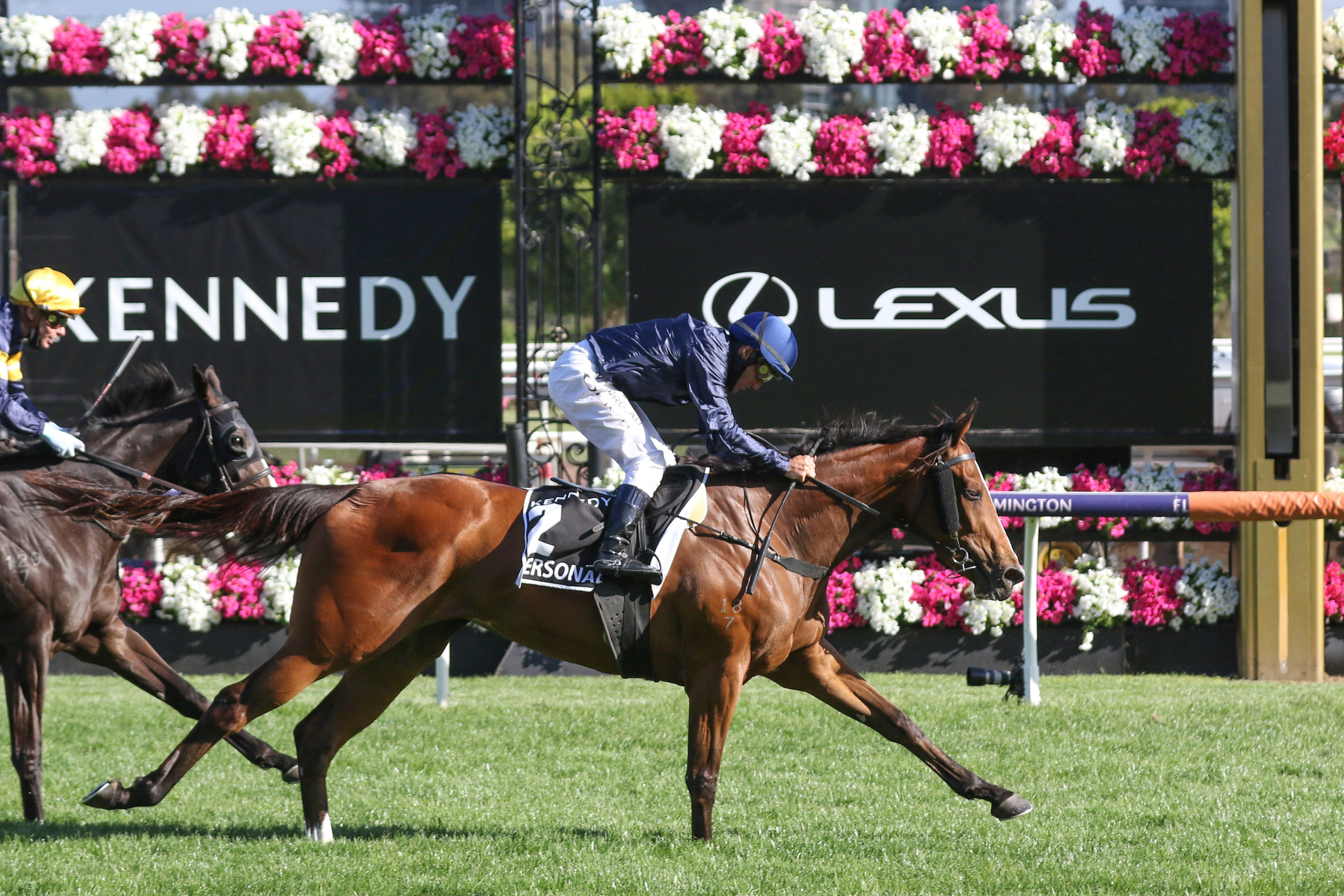 Flemington Tip Sheet & Staking Plan : Thursday 4th November Image