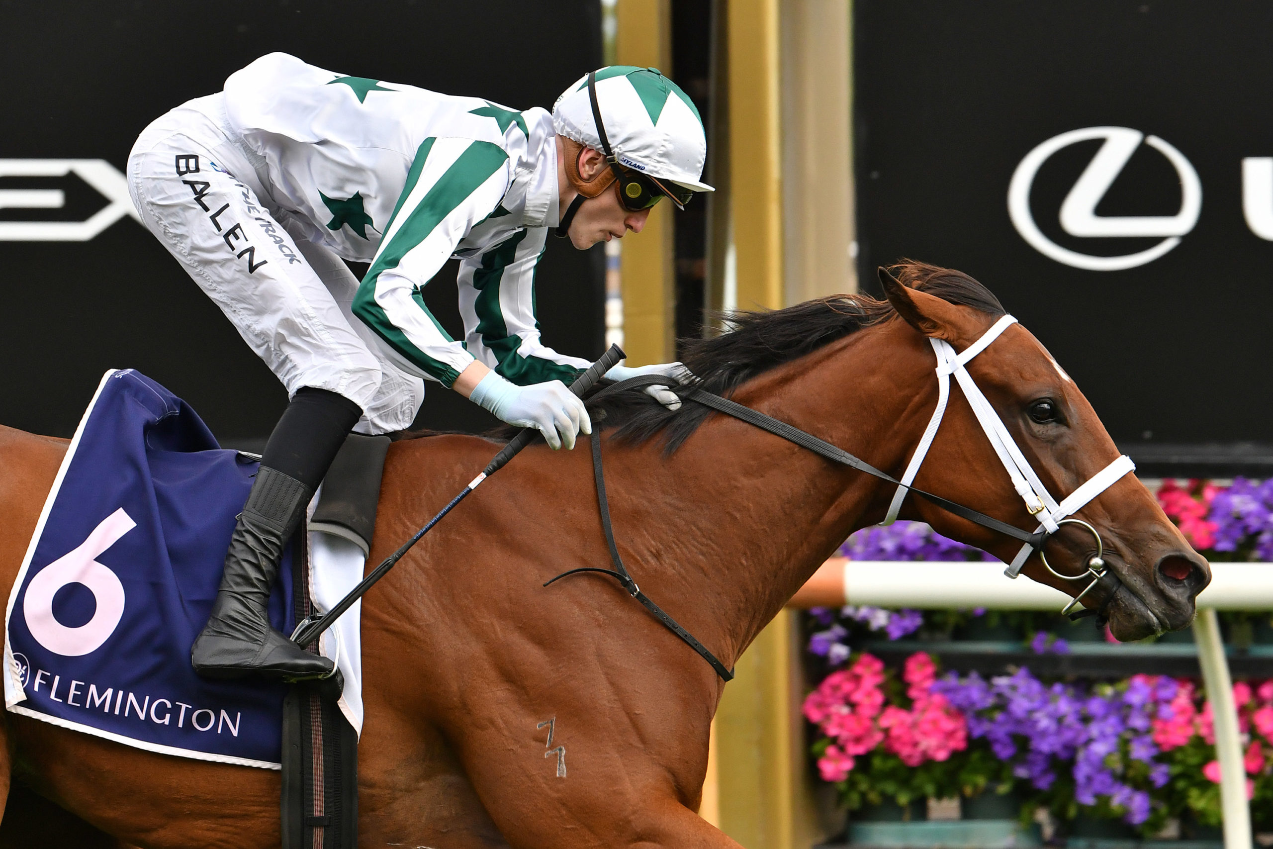 Mileva On Track For Another Feature Win Image