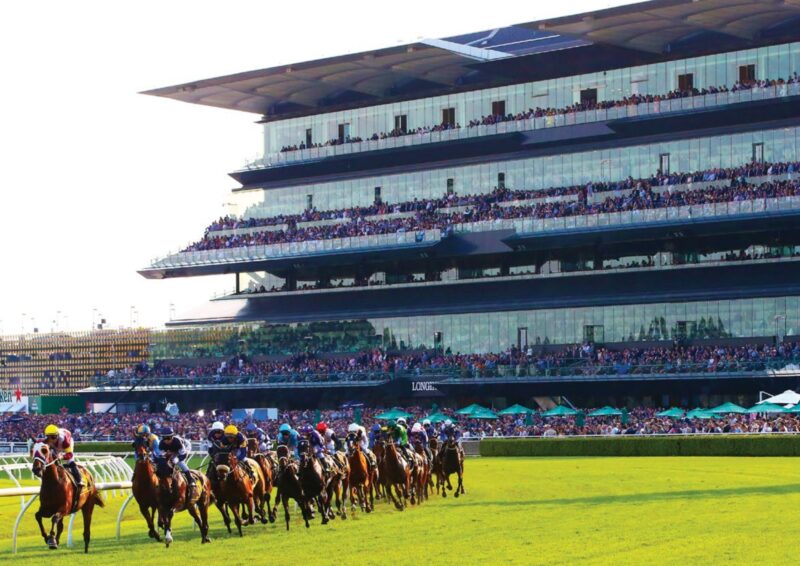 Black Book: Horses You Must Follow From Randwick 22/10 Image