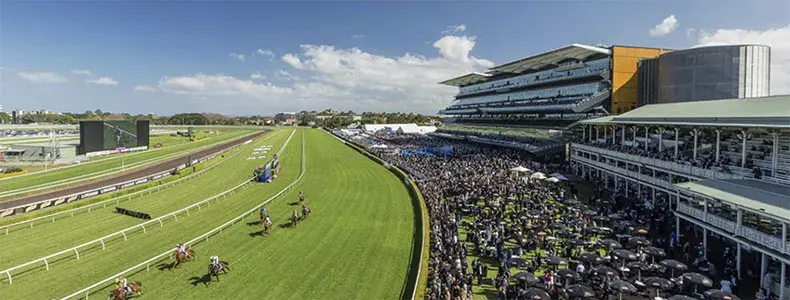 FREE: Randwick Saturday 1st October - Our Selections Image