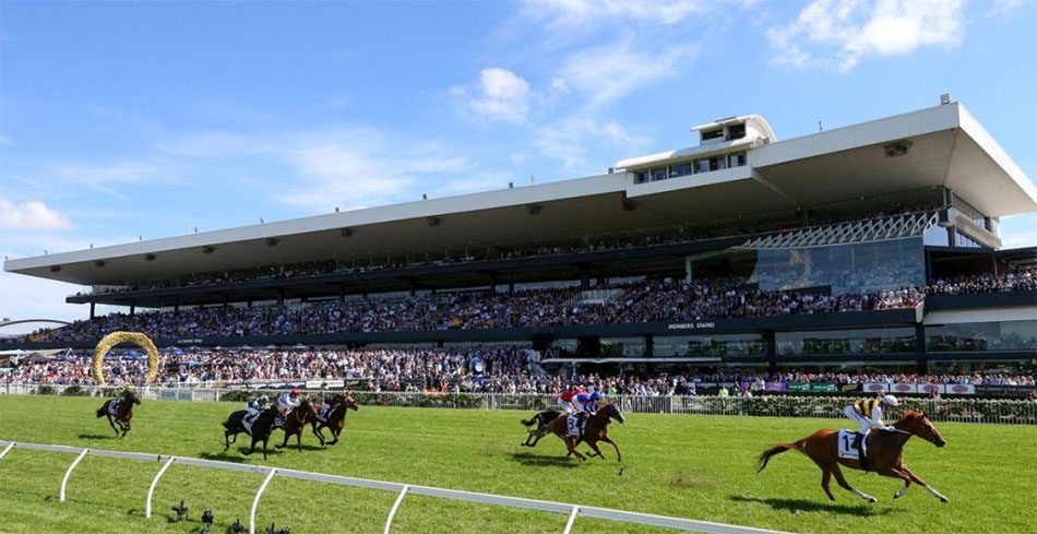 FREE: Rosehill Tip Sheet & Staking Plan: Saturday 29th April Image