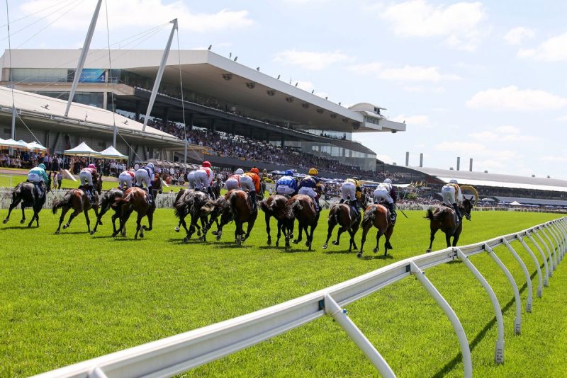 Our Black Book: Horses You Must Follow From Rosehill 3/8 Image