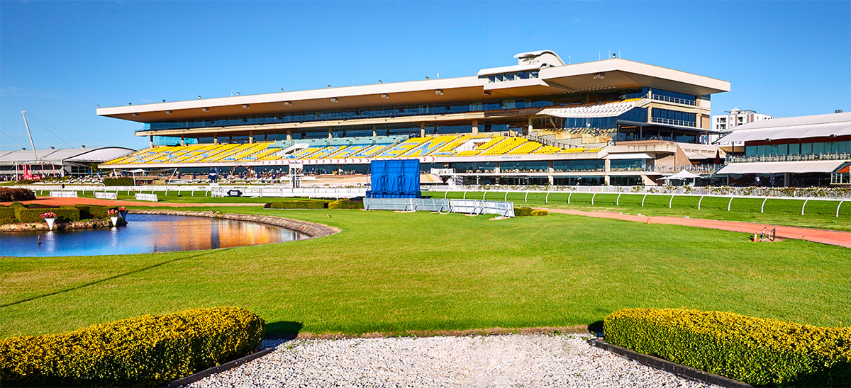 FREE: Rosehill Tip Sheet & Staking Plan: Saturday 17th June Image