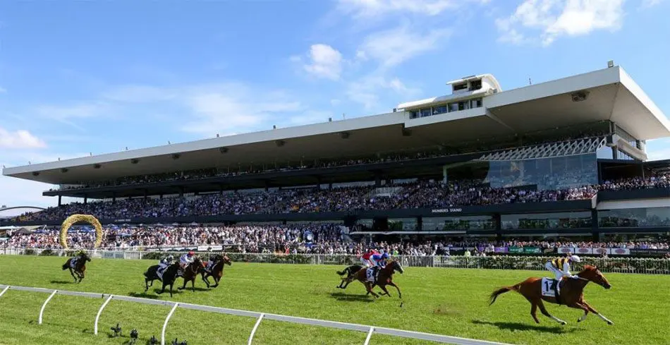 FREE: Rosehill Tip Sheet & Staking Plan: Wednesday 2nd October Image